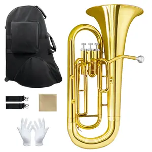Bb Euphonium for Beginners & Pros - Premium Brass Instrument with Hard Case, Mouthpiece, Cleaning Kit & Gloves. Ideal for Brass Band, Solo & Ensemble. Superior Sound & Durability