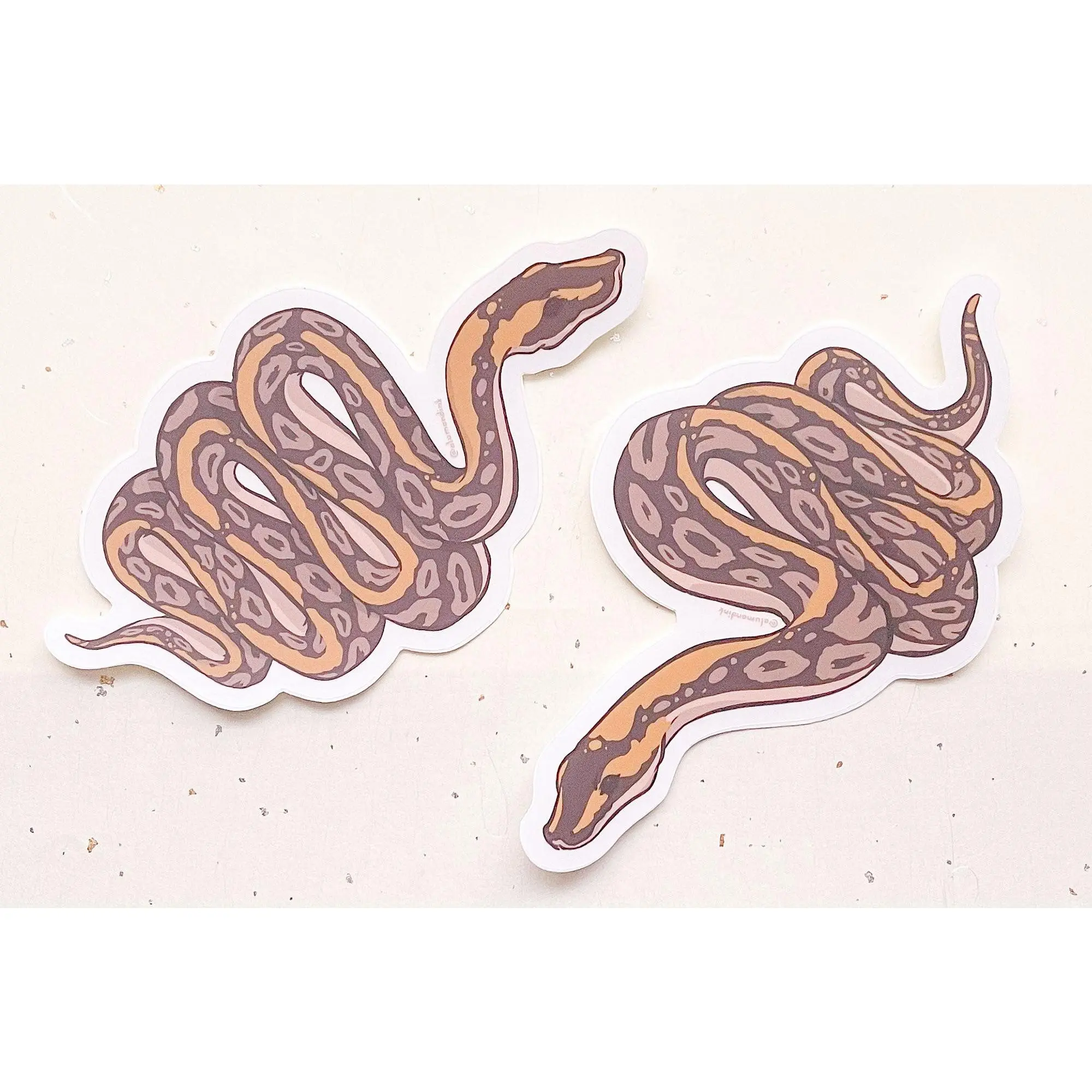 Ball Python Clear Vinyl Sticker Set