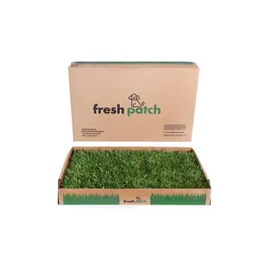Fresh Patch Real Grass Patch for Dogs, Cats, and Rabbits | Great for Balcony and Animals in the City