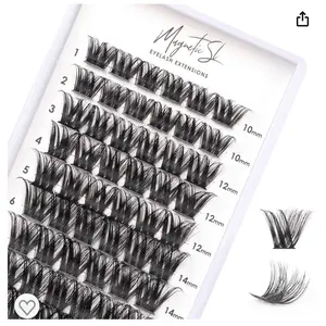 Magnetic SL Eyelash Extensions
