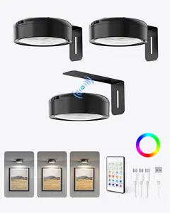 Homelist 3 Pack Picture Lights for Wall, 2200mAh Rechargeable Battery Operated Picture Light with Remote, Magnetic Painting Light 3 Color & 12 RGB, Wall Decor Picture Light for Art Display Black