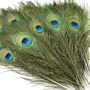 OPUUENT 10PCS Real Natural Peacock Eye Feathers 10-12 inch for DIY Craft Floral Arrangements,Wedding,Home and Party Decorations Feathers,Natural