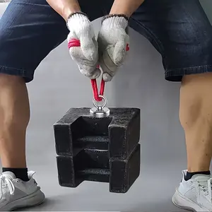 Strong Magnetic Fishing Magnet Ring, 242.5lb Capacity, Round Hook with Screw Hole, Ideal for River and Underwater Recovery, Heavy Duty, Magnetic Item