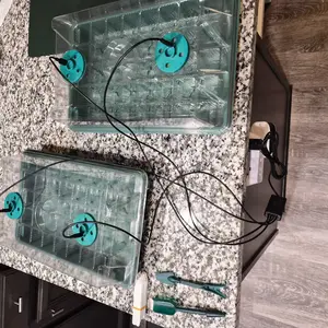 80‑Cell Seedling Tray Kit, 2 Counts Seed Starting Trays with Grow Light, Controller and Humidity Dome, Indoor Plant Germination Kit, Plant Growing Set
