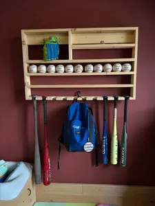 Baseball organizer