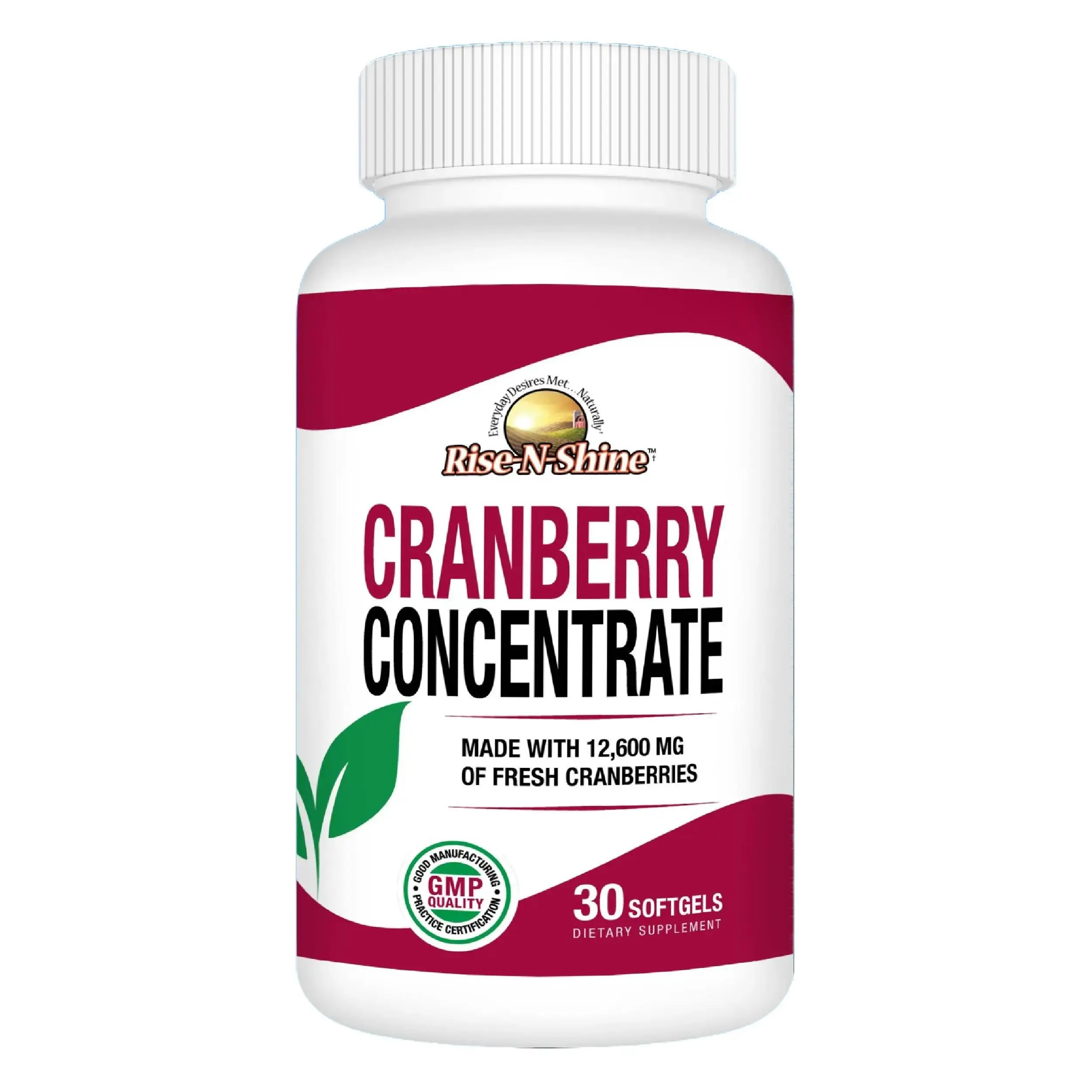 Cranberry Concentrate by Rise-N-Shine - High-Potency 50:1 Extract (12,600mg Fresh Cranberry Equivalent) -  Sugar-Free Supplement for Adults, Supporting Urinary Tract, Bladder & Kidney Function