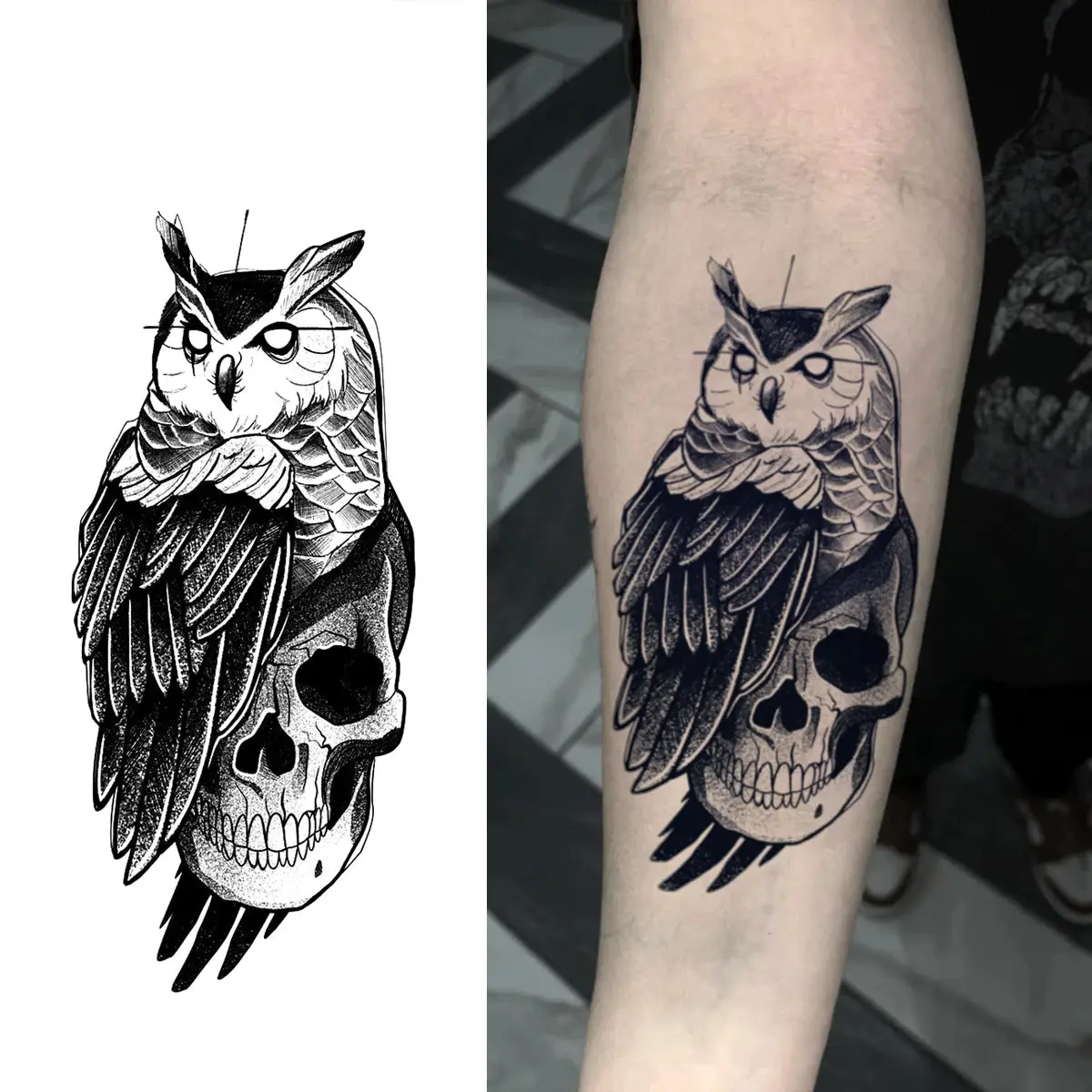 The Owl and the Skull The Owl and the Skull