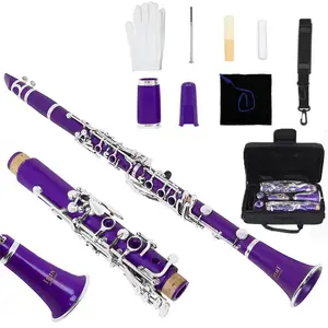 Irin  Flat B Clarinet,Colorful  Clarinet Se B Flat Abs Body, 17 Key Rings  6 Keys, Includes Irin Cloth Box and Standard Accessories, Musical Instruments, 1 Piece