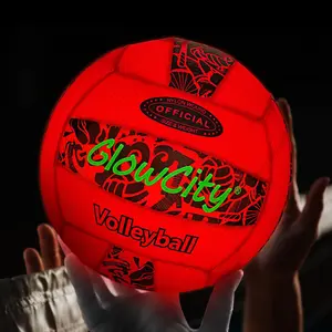 Glow in the Dark Glow in the Dark LED Volleyball
