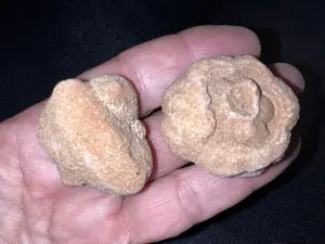 Stromatolite Fossils approx 35-45mm