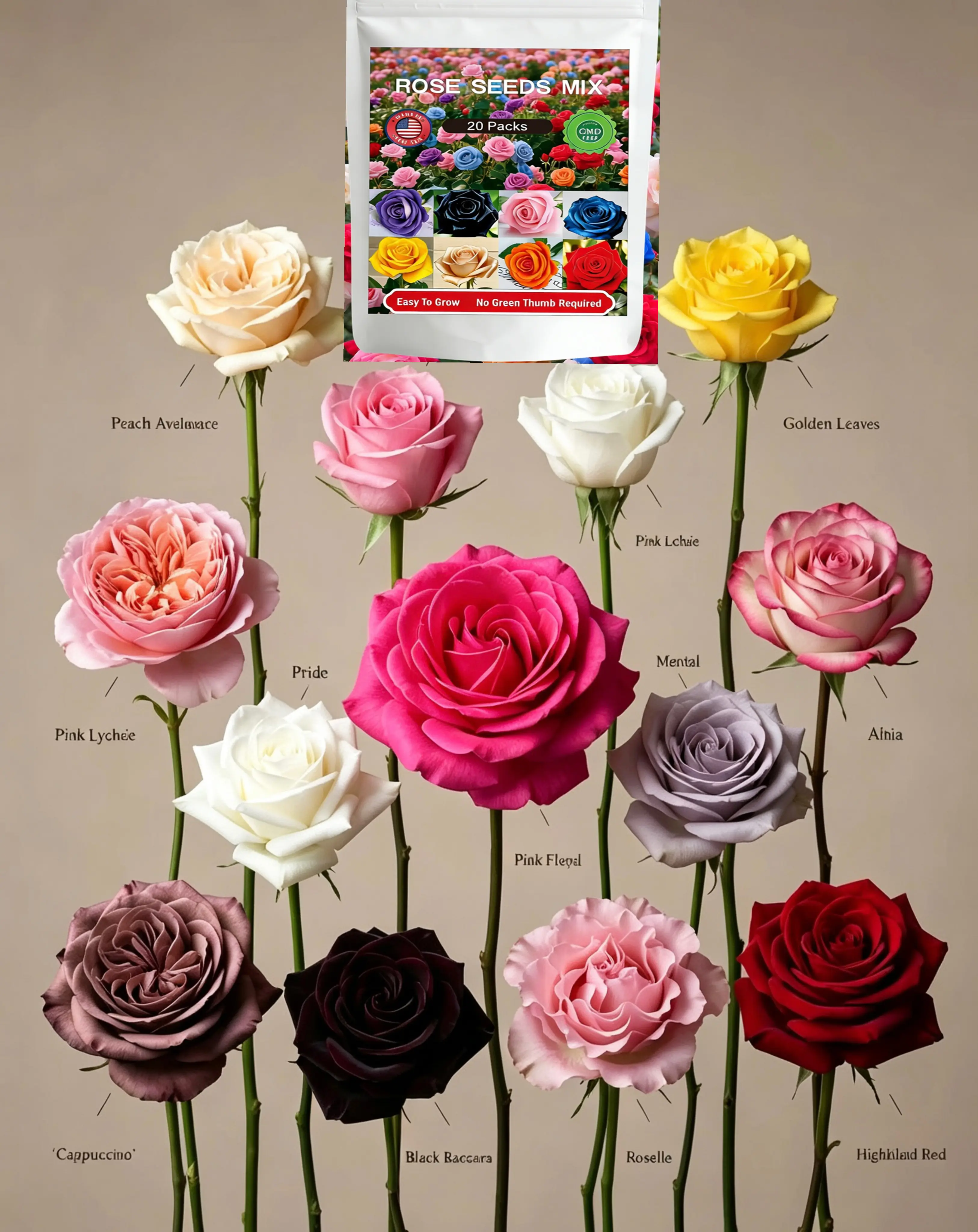 20 Packs 4000 Pcs Mixed Color Rose Seeds, Rare Fragrant Perennial Flower Seeds, Easy‑to‑Grow for Home Garden Patio Pot Bonsai Planting