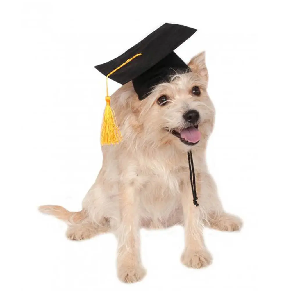 Graduation Cap