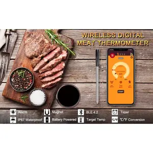 Truly Wireless Bluetooth Meat Thermometer