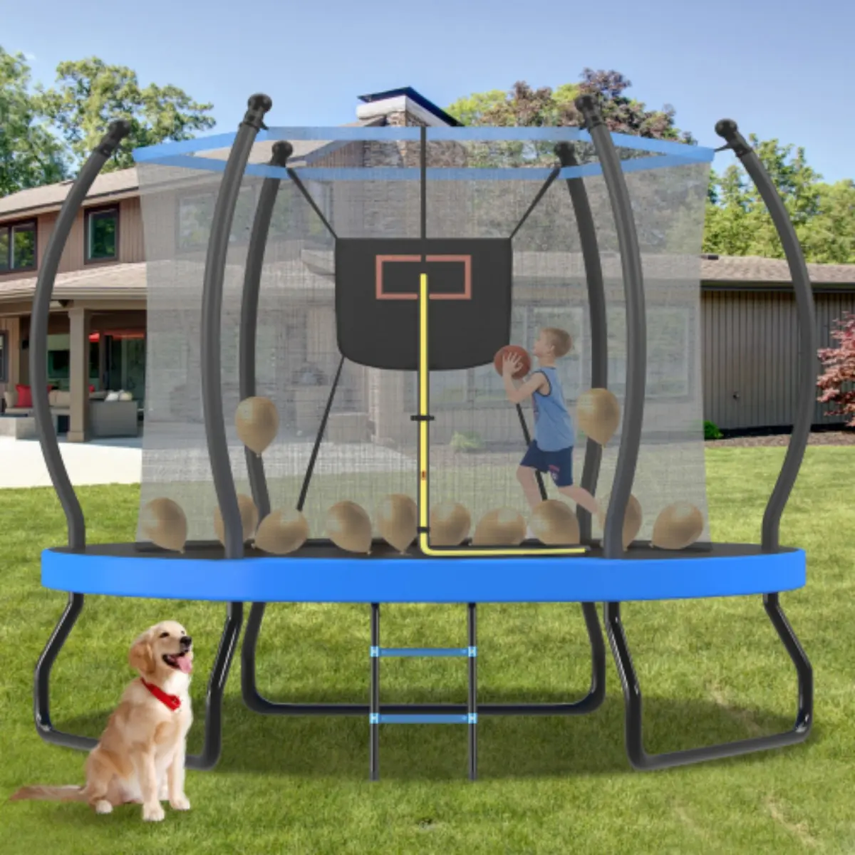 8FT/10FT Trampoline with Basketball Hoop, Enclosure net and Ladder, Outdoor Trampoline for Kids, Recreational Backyard Trampoline, Trampoline Workout