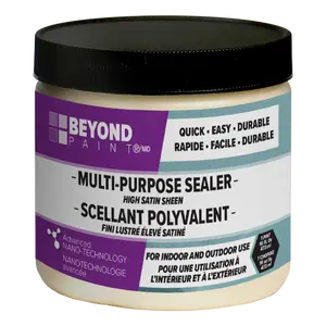 Beyond Paint Multi-Purpose Sealer High Satin Sheen Interior/Exterior