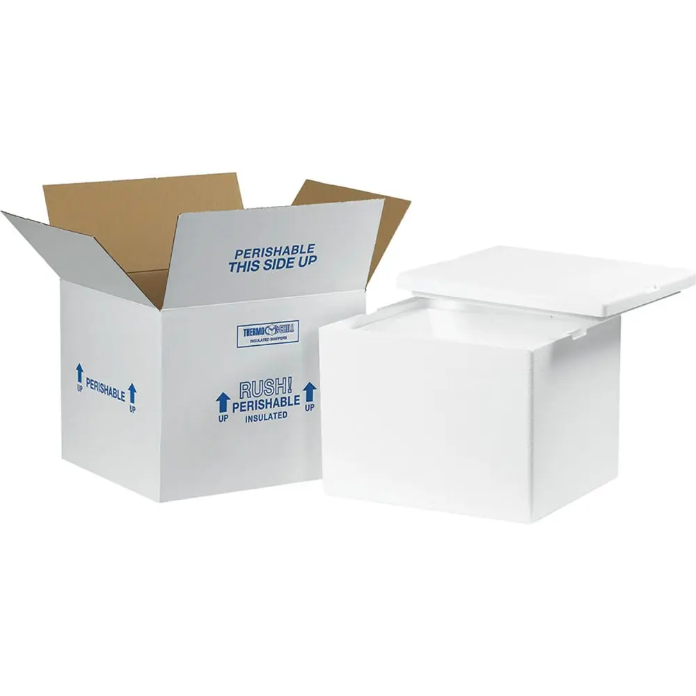 Box Packaging B39907 12 x 10 x 9 in. Foam Insulated Shipping Kit, White