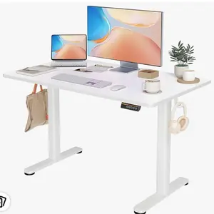 Electric Standing Desk