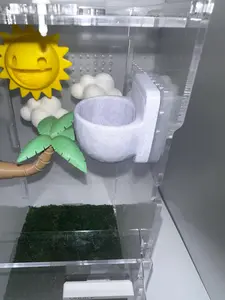 Magnetic Wall Planter | Pet decor | Enclosure Accessories | Jumping Spiders