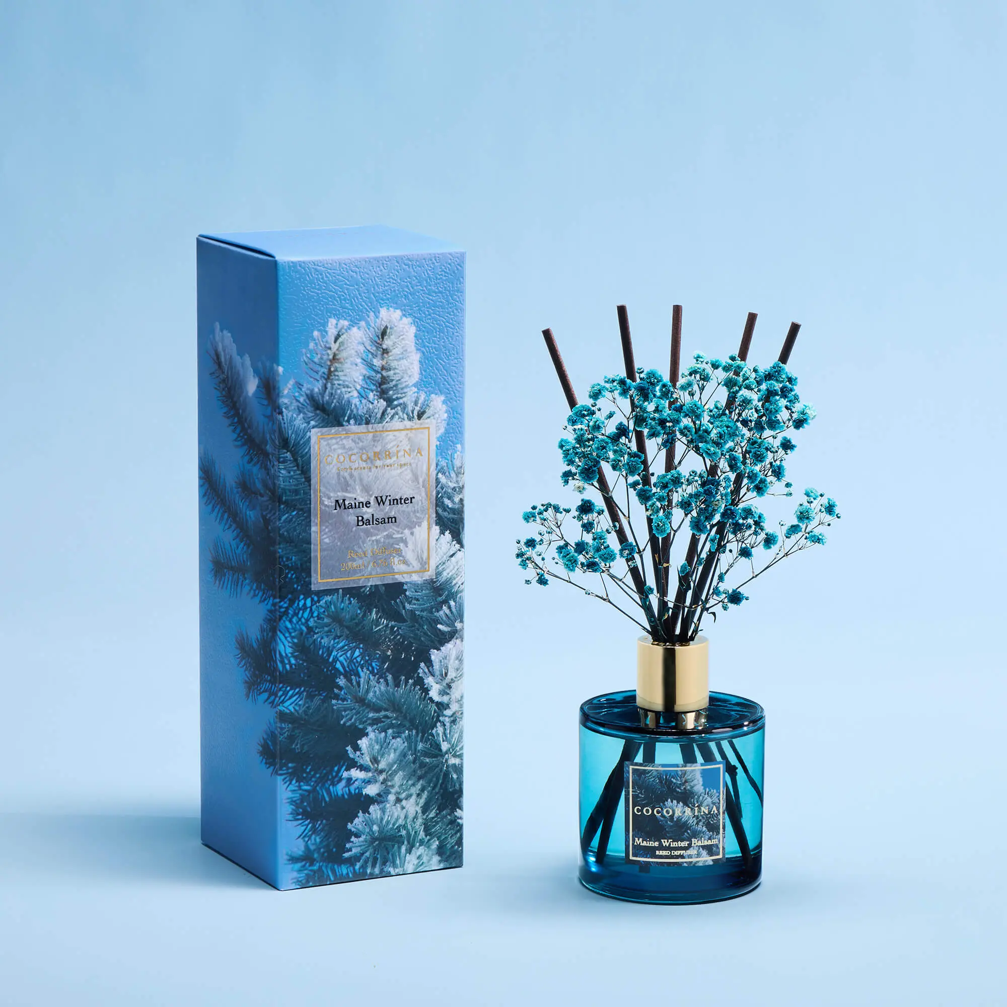 COCORRÍNA Maine Winter Balsam Woody Fragrance Aromatherapy Reed Diffuser Set, Home Scent Freshener
