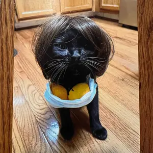 Marilyn Meow Collectible 4x6in Picture