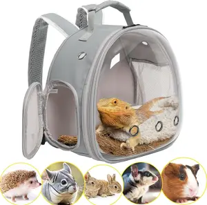 Small Animal Travel Backpack – Clear Bubble Window Carrier for Guinea Pigs, Reptiles & More (Grey, Airline-Approved)