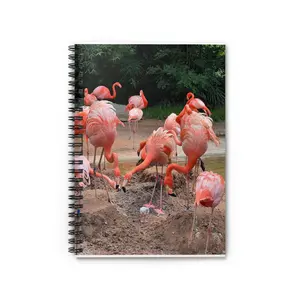 Spiral Notebook - Flamingo Design, Pink Flamingos & Baby Flaminglet Photo, Ruled Line Journal, Gift for Bird Lovers, Tropical Stationery, woman journal diary notebook 2024-2025 planner