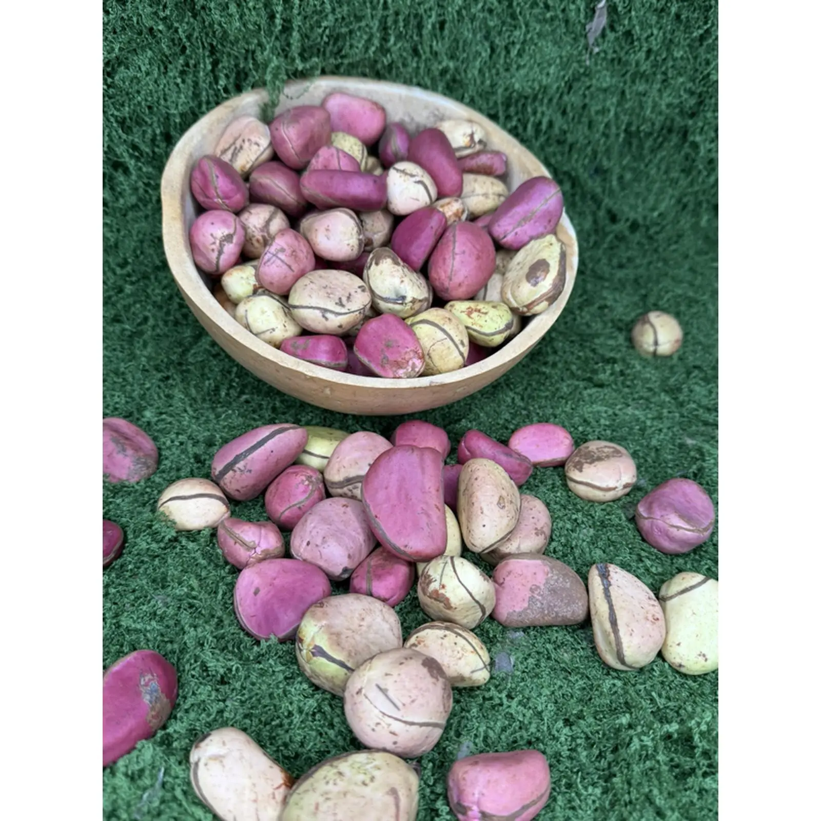Kola Nut - Fresh Kola Nuts Perfect for snacks 20pcs Kola Nut - Fresh Kola Nuts Perfect for snacks 20pcs