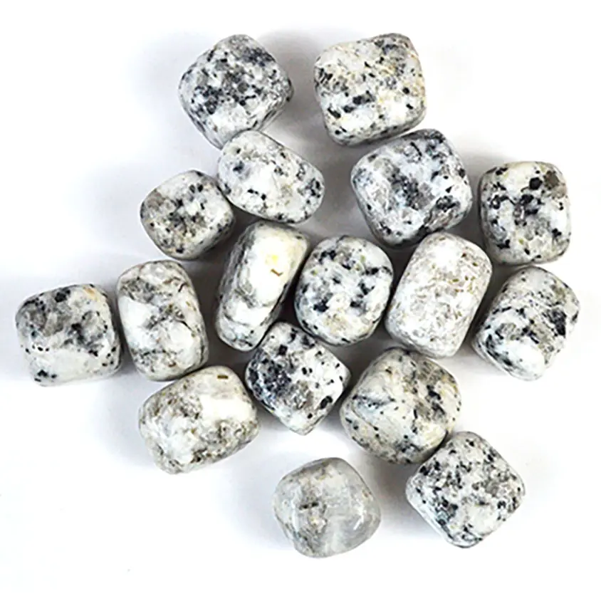 Dalmatian Jasper Tumbled Stones 1 lb Bulk — Spotted Joy Crystals