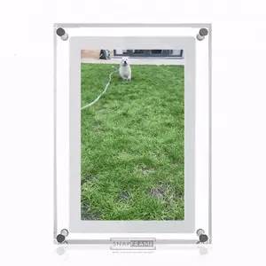 SnapFrame™ Digital Video Frame