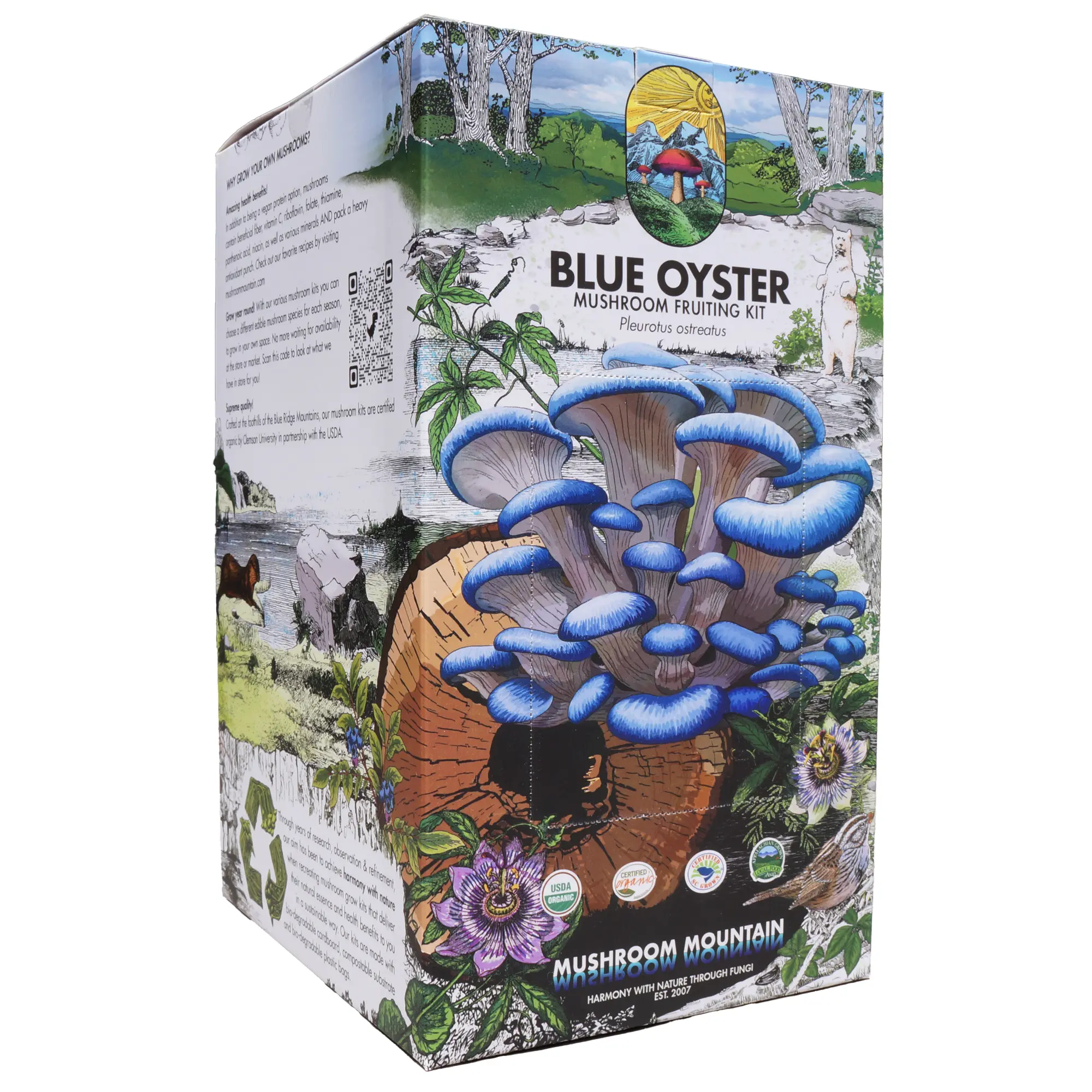 Oyster Mushroom Fruiting Kit - (Pleurotus spp.) Oyster Mushroom Fruiting Kit - (Pleurotus spp.)