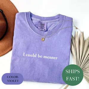 I Could Be Meaner T-shirt Comfort Colors, Sarcastic Shirt, Funny Humor Shirt, Funny Quote T-shirt, Gift for Her, Unisex Shirt, Women Clothing OK1H