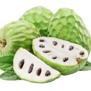 a one year  Cherimoya seedling/ Custard Apple/custard fruit/ice cream fruit/ Annona cherimola/live in a 4’’ pot/ 8”-10””high Edible
