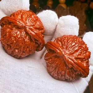 WenWan “Milstone” Walnuts with turquoise and gold settings | Collectors Grade | WYSIWYG | Ships in 48 hours