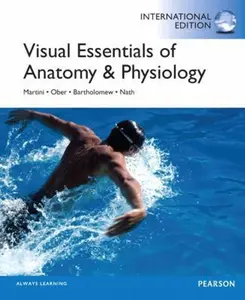 USED-Visual Essentials of Anatomy & Physiology by Frederic H. Martini (Paperback)