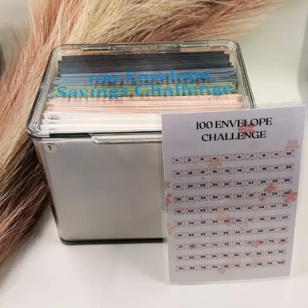 100 Envelope Challenge Kit 100 Envelope Challenge Kit