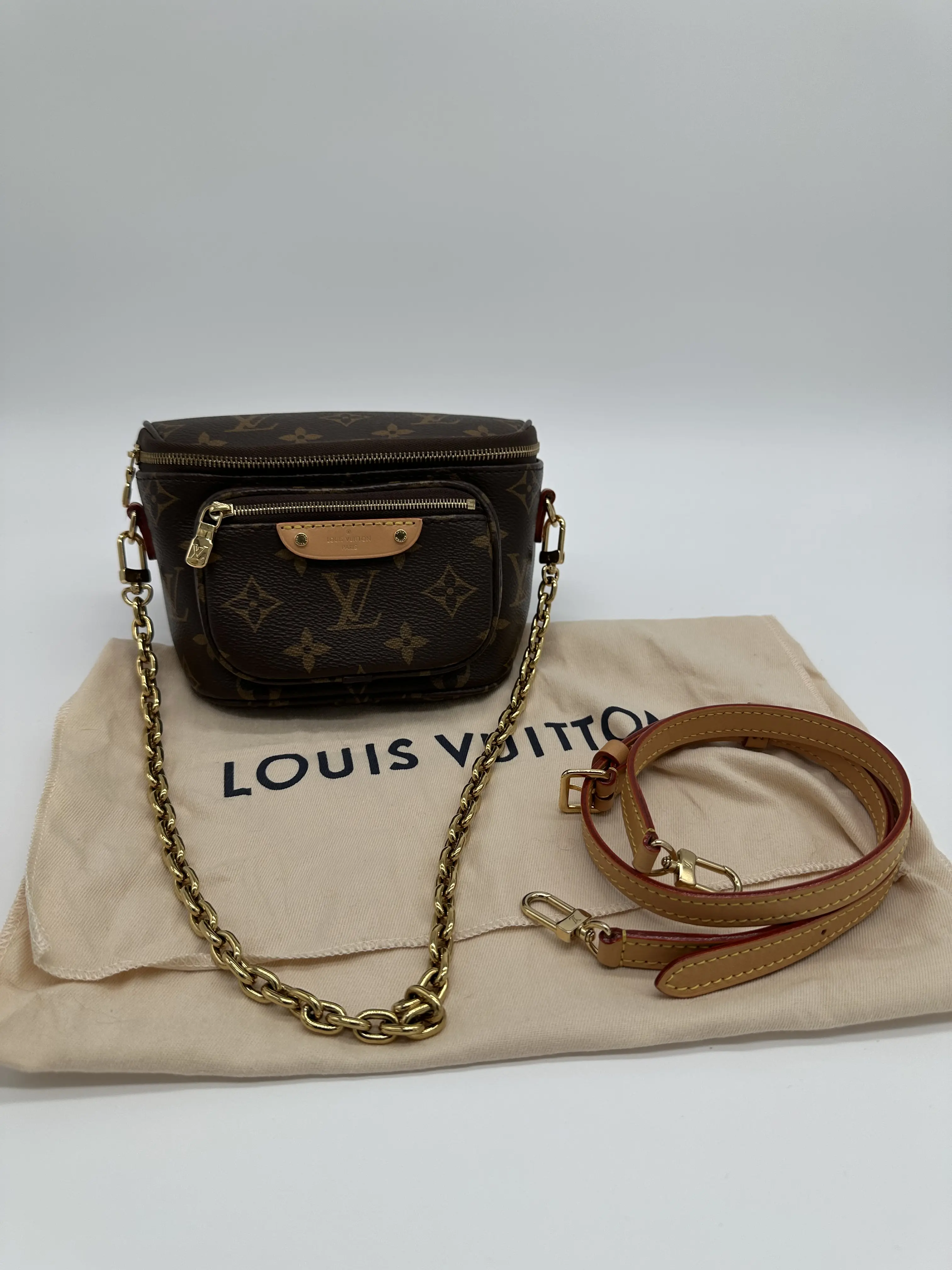 Pre-owned Louis Vuitton Coated Canvas and Vachetta Leather Belt Bags Monogram Coated Canvas Mini Bum Bag