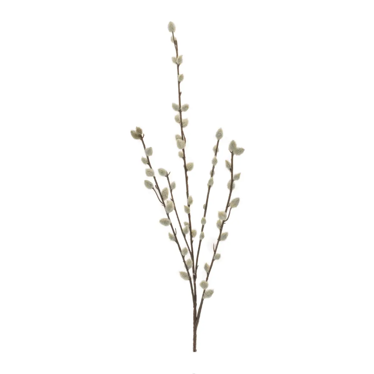 Melrose 96528DS 30.5 in. Plastic Pussy Willow Stem, Green - Set of 6