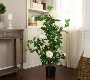 4' Peony Bush in Pot by Valerie Flower Arrangements Plants