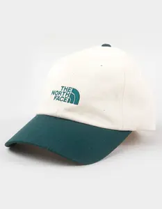 THE NORTH FACE  Mens Norm Strapback Hat