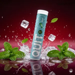 1 Box Flavored Toothpicks with Portable Case, Fruit Flavor Breath Freshening, Travel Home Daily Use - QUIT Series