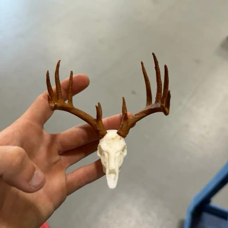 Euro mount deer skull rear view mirror ornament