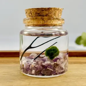Marimo Moss Ball Terrarium Kit - Miniature Aquatic Ecosystem with Marimo Moss Ball, Clear Glass Jar, Sea Fan Accent & Your Choice of Crystal Gravel.