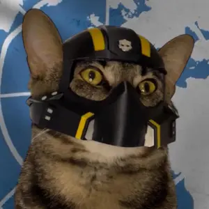 Cat Mask Design Pet Helmet, 1 Piece Cute Pet Mask, Pet Accessories for Most Cats, Funny Pet Accessories for Party, Festival, Daily Life