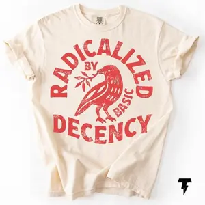 Radicalized By Basic Decency Comfort Colors T-shirt, Activist Tee