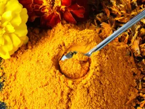 Calendula Flower Powder Premium Herbal Tea Calendula officinalis