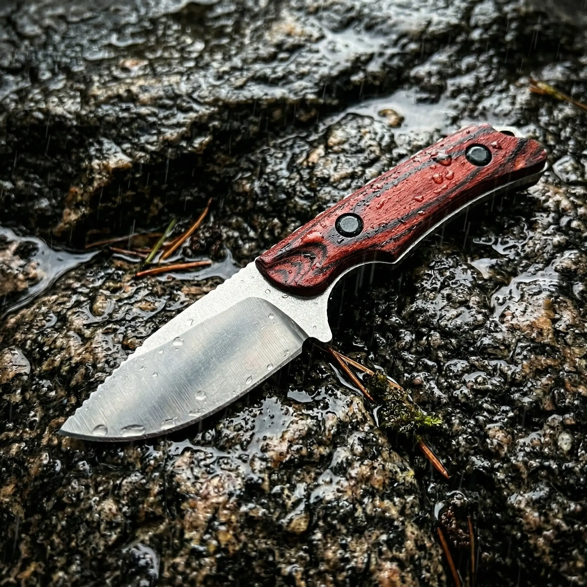 BM 15017 Classic Fixed Blade Survival Knife - 8Cr13MoV Steel, Wooden Handle, Lightweight Unisex Outdoor Practical Tool, Hiking Gear for Camping & Everyday Carry with Leather Sheath, Survival Gear, Camping Knives, Outdoor Camping Knives