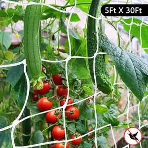 Humwam 5 x 30FT Polyester Trellis Netting – Square Mesh for Climbing Plants, Vegetables & Fruits
