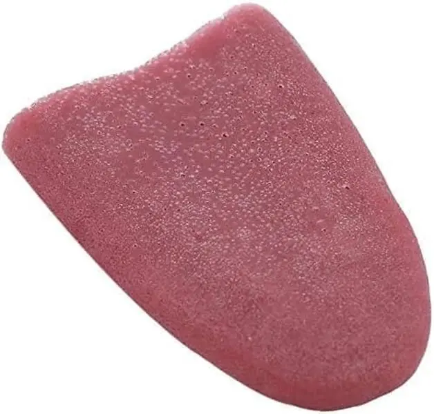 Realistic Fake Tongue Halloween Prop,Realistic Fake Tongue Gross Jokes Prank Magic Tricks Halloween Horrific Magicians Props Fashion Processing Novelty Props,Magic Trick Prank