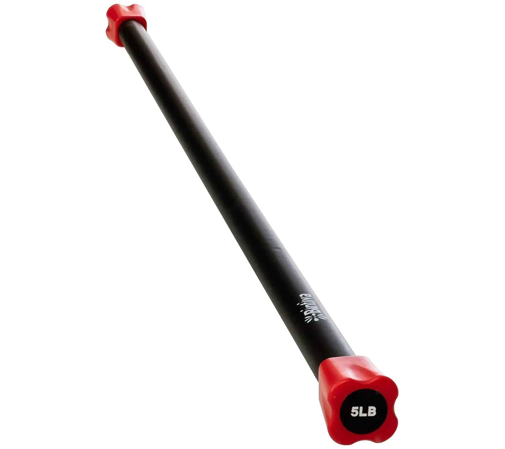 Bintiva 5lb Weighted Workout Bar