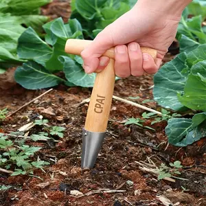2pcs seeding hole puncher, professional vegetable planting tool. Multifunctional agricultural hole digger for fertilizing and sowing. Stainless steel garden transplant tool for soil punching and seedling moving, household gardening supplies, Garden Tools